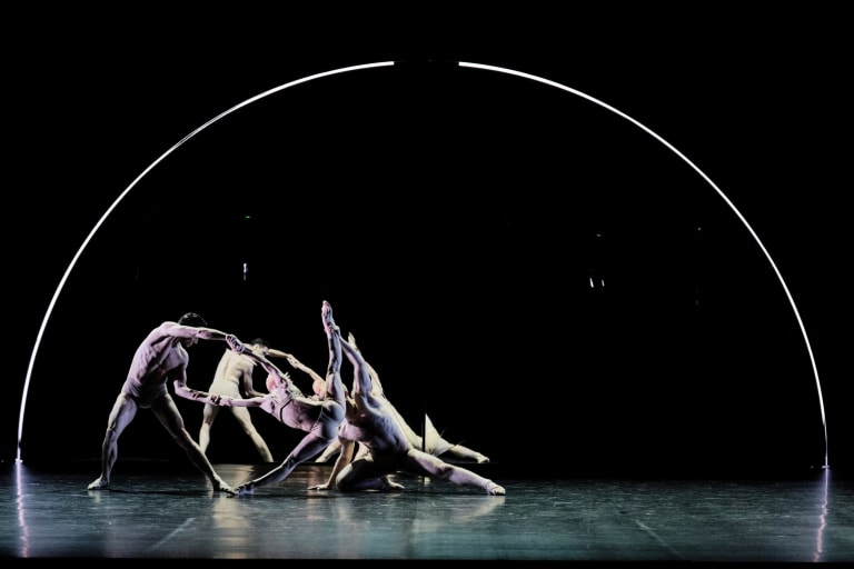 Tree of Codes (saison 18/19) - 2