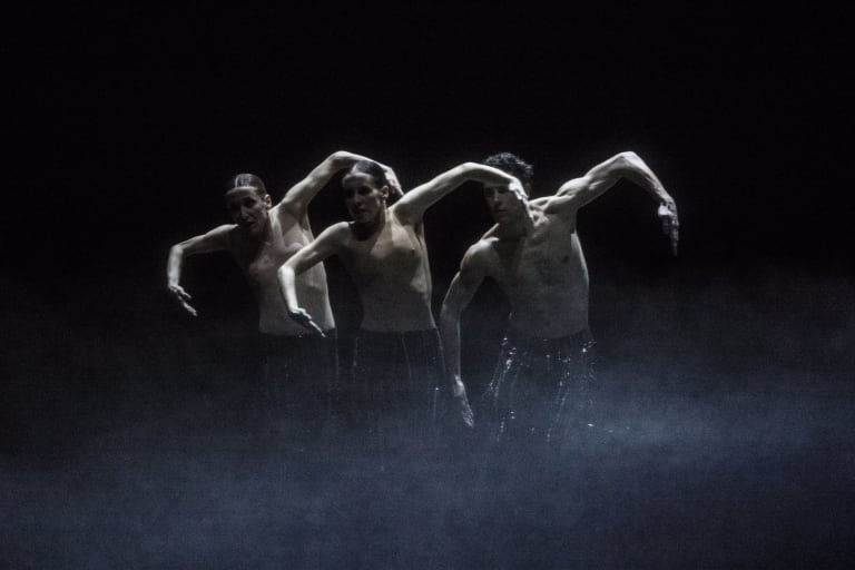 Dogs Sleep (saison 18/19)  - 1