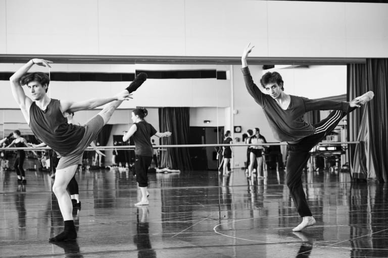 Tree of Codes (saison 18/19)