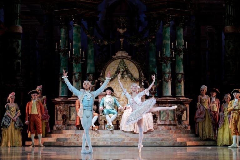 La Belle au bois dormant - 20