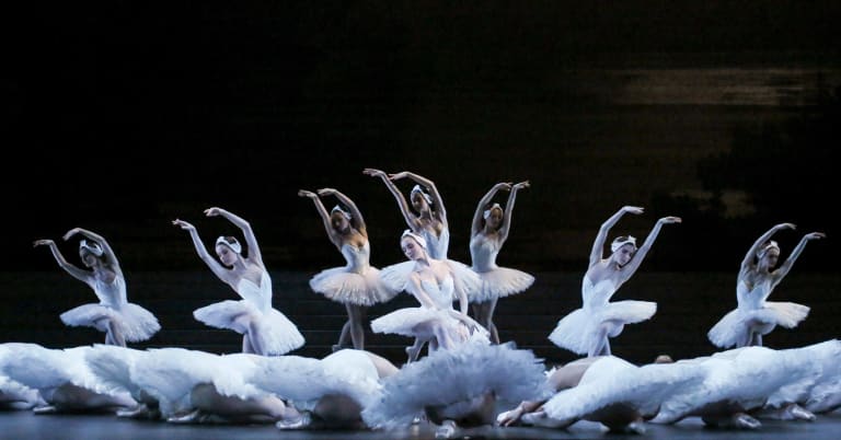 Le Lac des Cygnes - 1