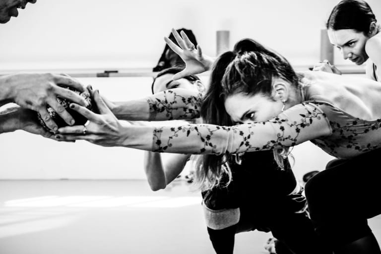 Thierrée Shechter Pérez Pite - 44