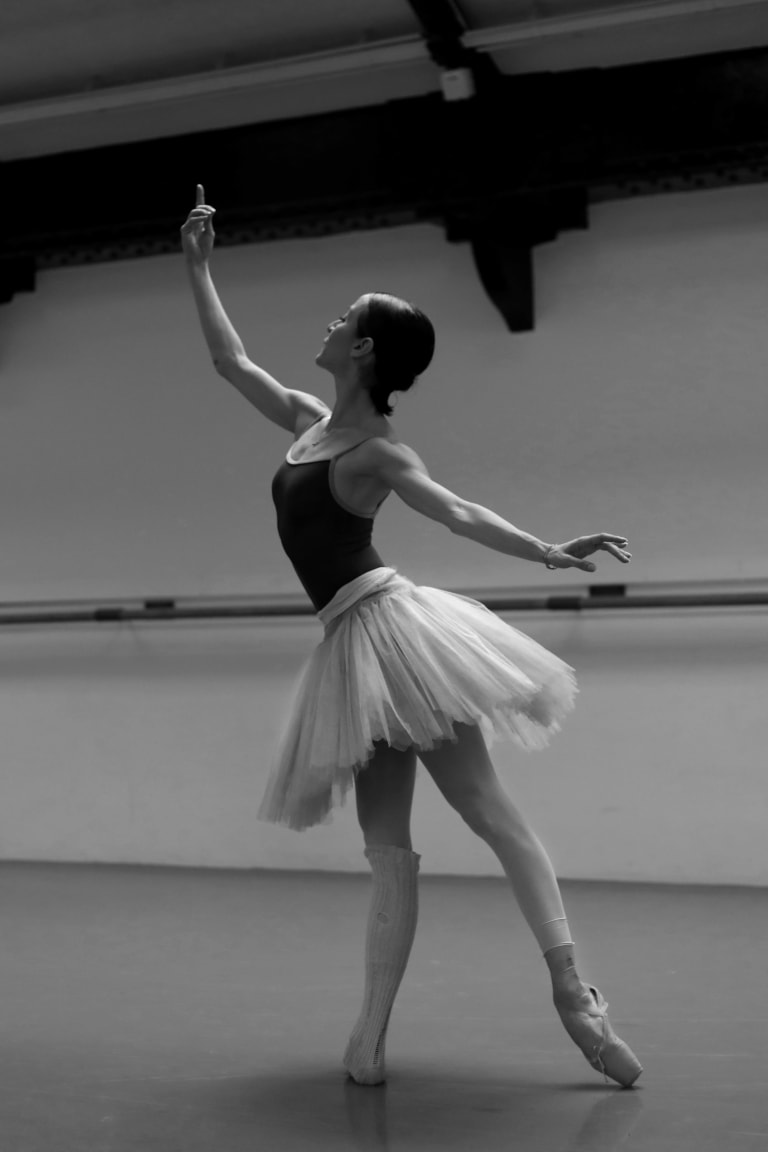 Le Lac des cygnes - 8