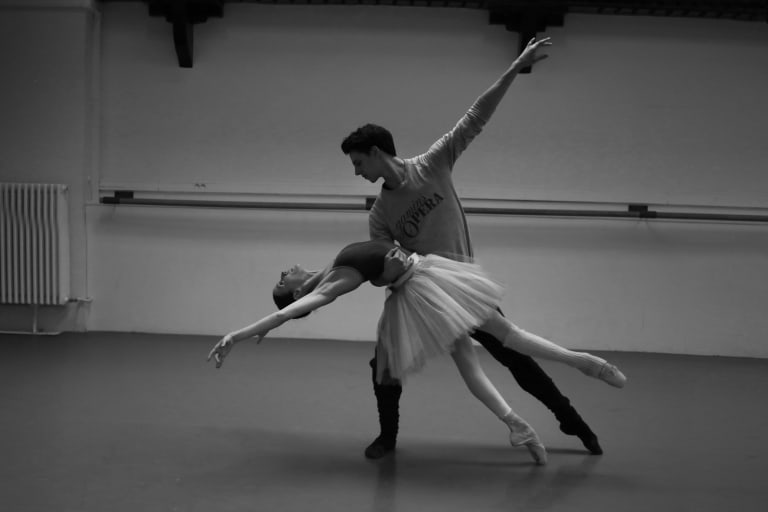 Le Lac des cygnes - 4