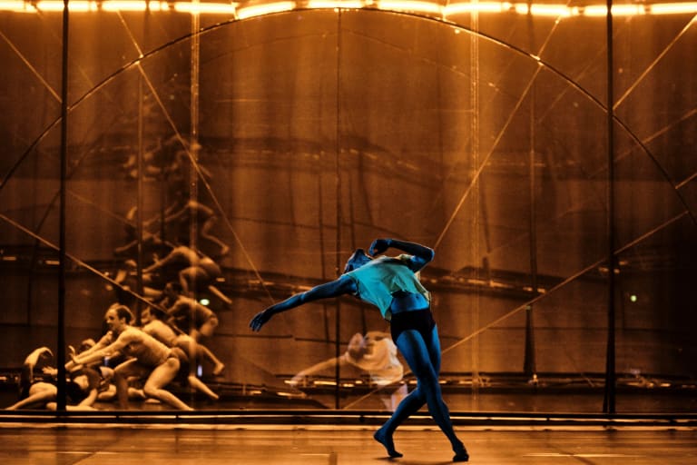 Tree of Codes (saison 18/19) - 7