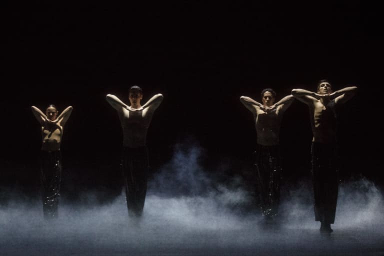 Dogs Sleep (saison 18/19)  - 2