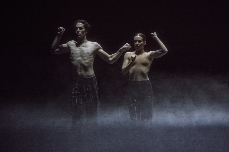 Dogs Sleep (saison 18/19)  - 4