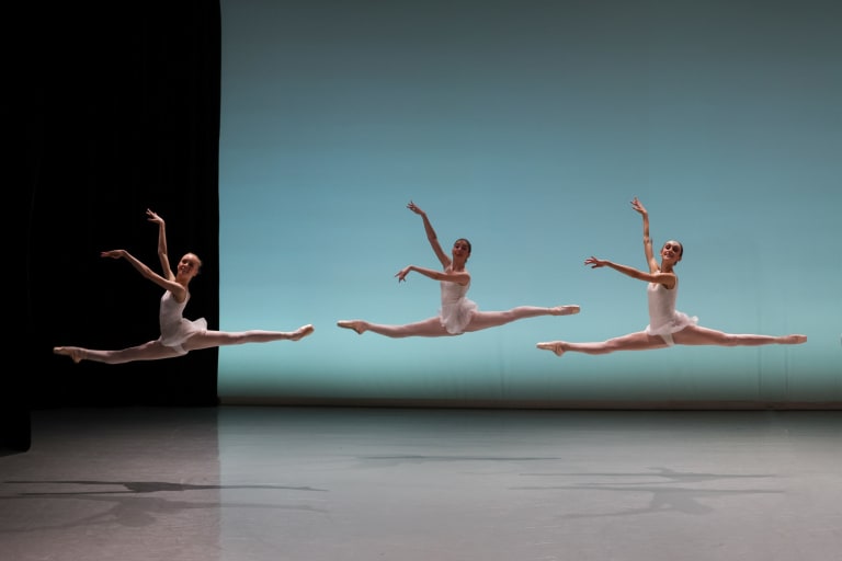 Démonstrations de l'École de Danse