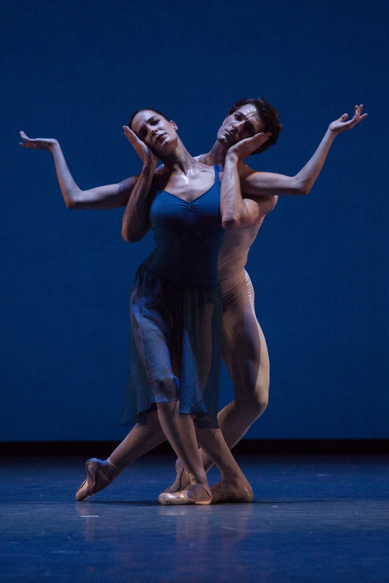 Opus 19/ The Dreamer- - 7