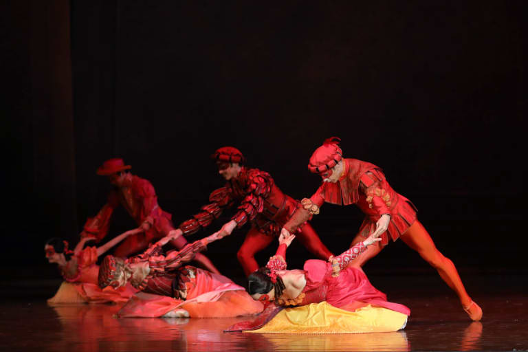 La Dame aux camélias (saison 18/19)