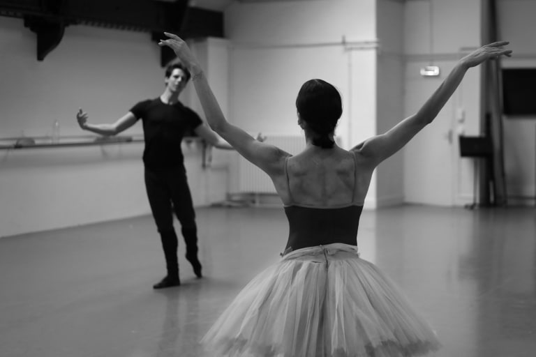 Le Lac des cygnes - 1