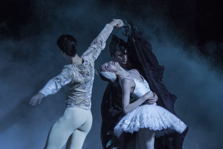 Le Lac des Cygnes - 8