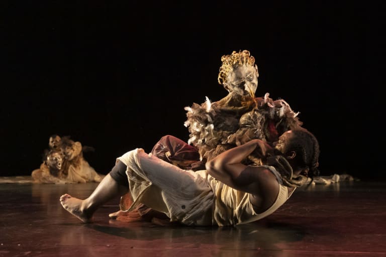 La Langue des Cygnes 1 © Yves Petit