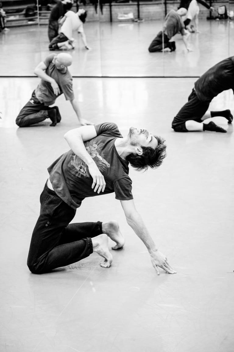 Thierrée Shechter Pérez Pite - 12