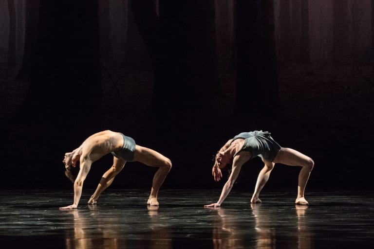 Faun (saison 18/19) - 1