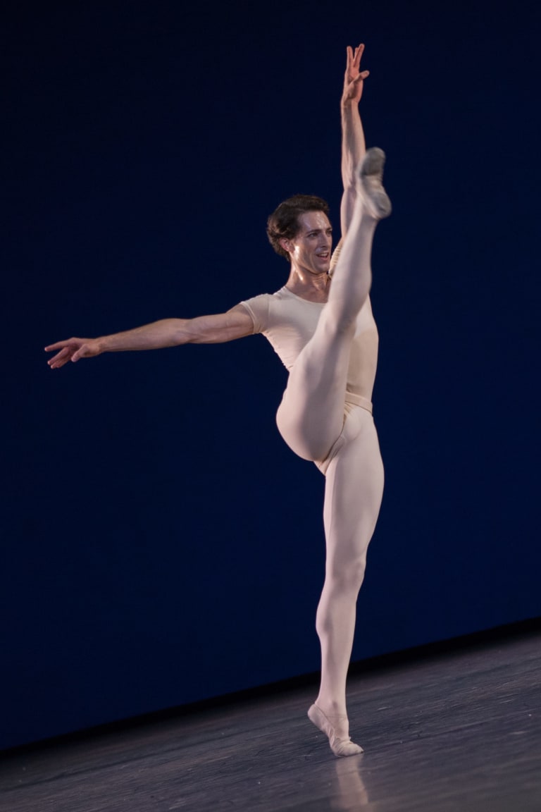 Opus 19/ The Dreamer- - 4