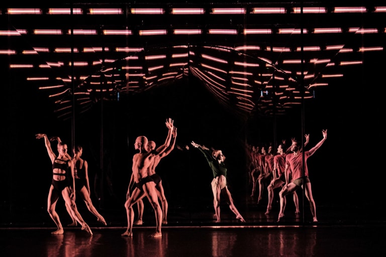 Tree of Codes (saison 18/19) - 4