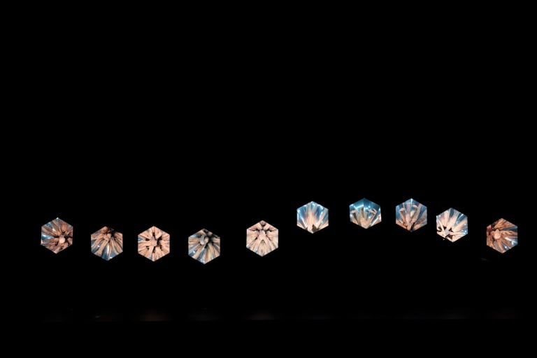 Tree of Codes (saison 18/19) - 10