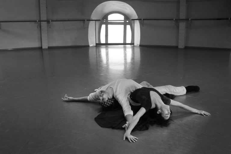 La Dame aux Camélias - 14