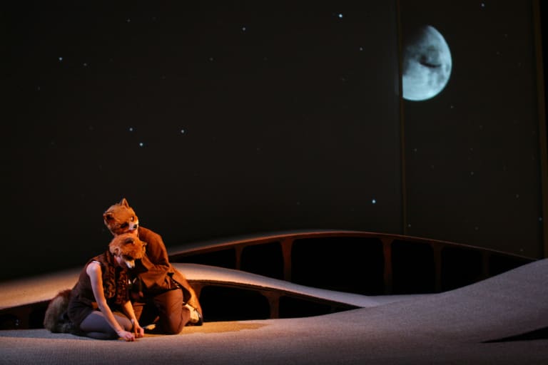 La petite renarde rusée - 1