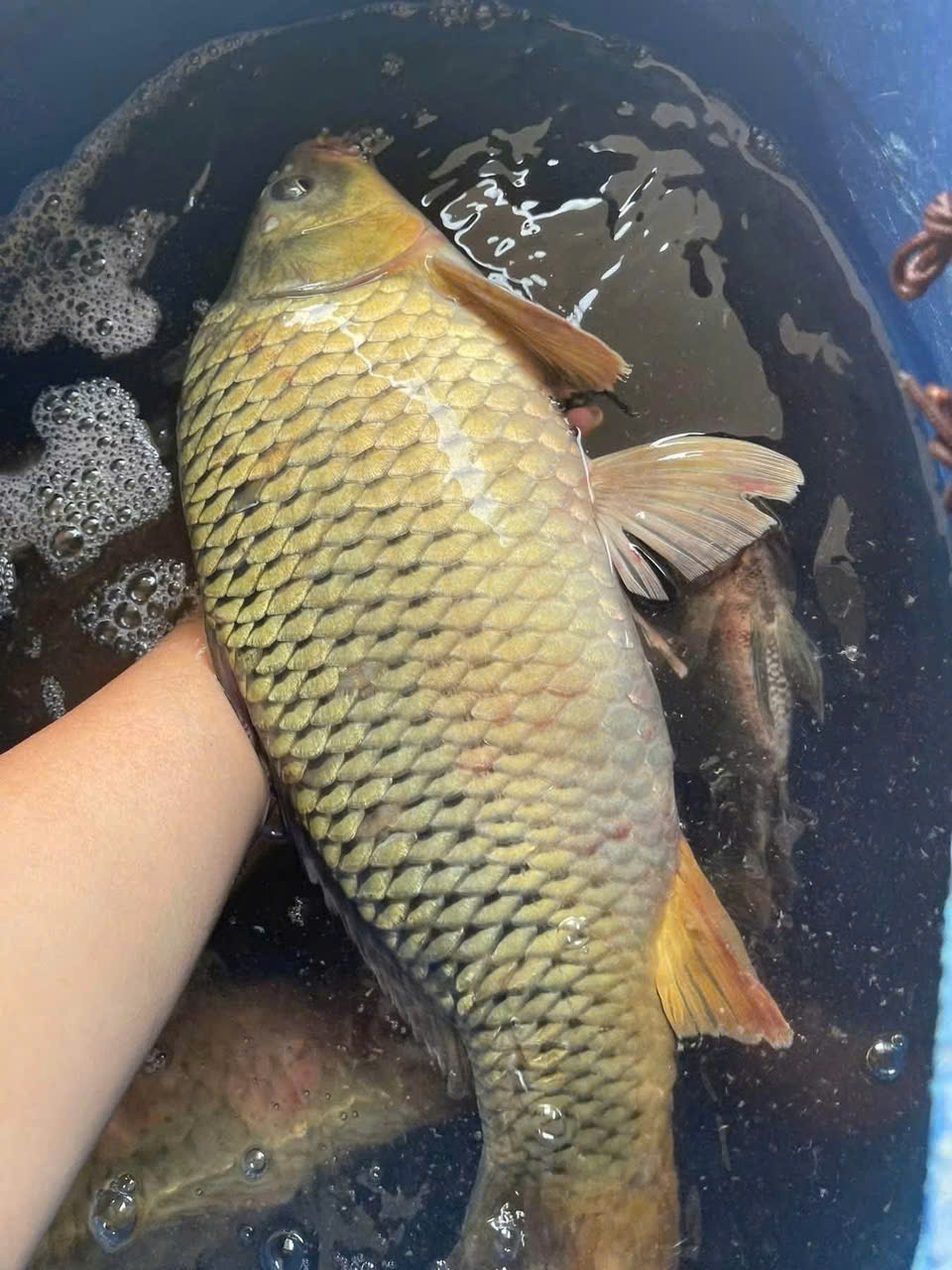 Thủy sản