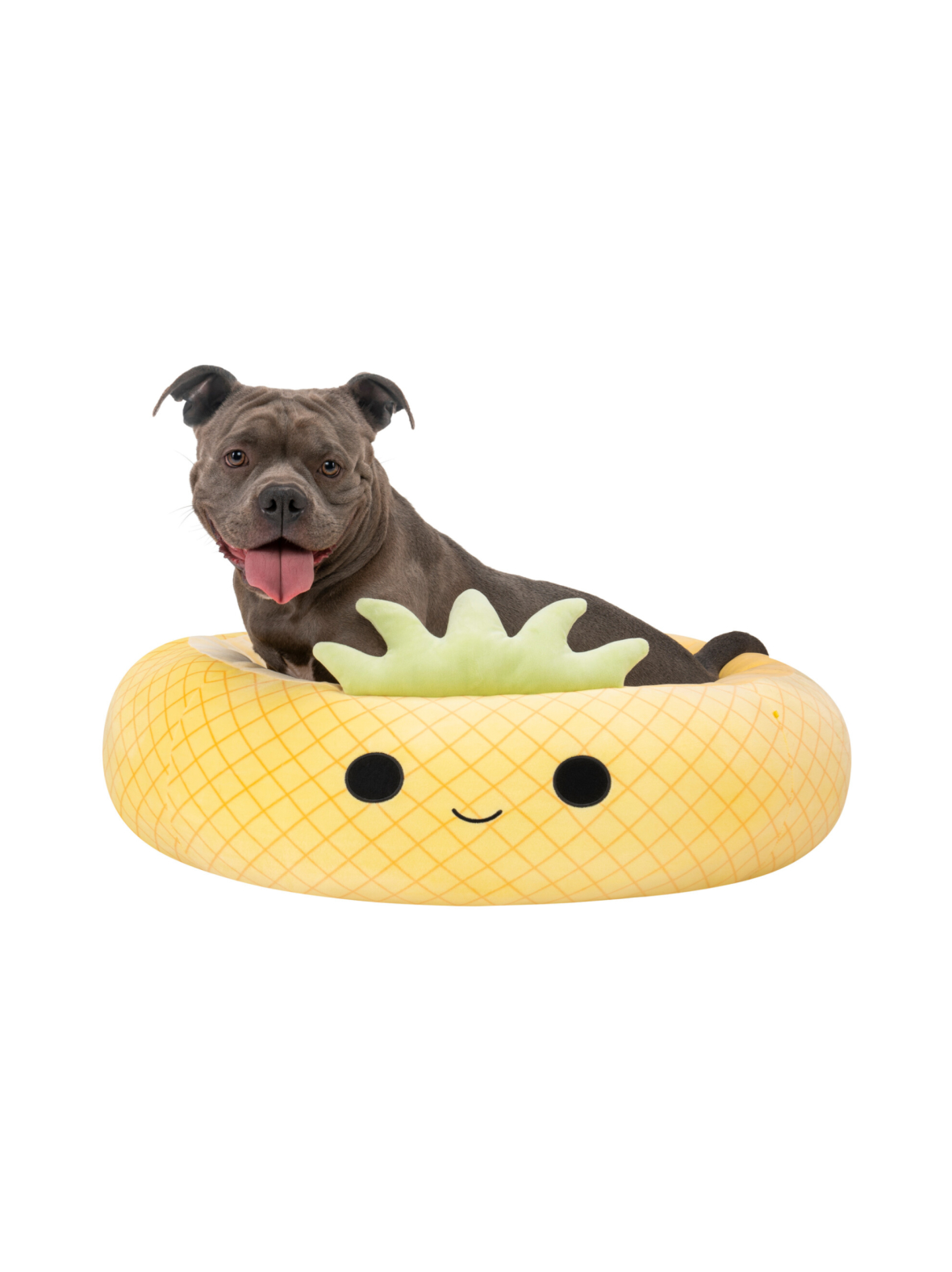 SQUISHMALLOWS Lemmikin peti Maui-ananas, 75 cm
