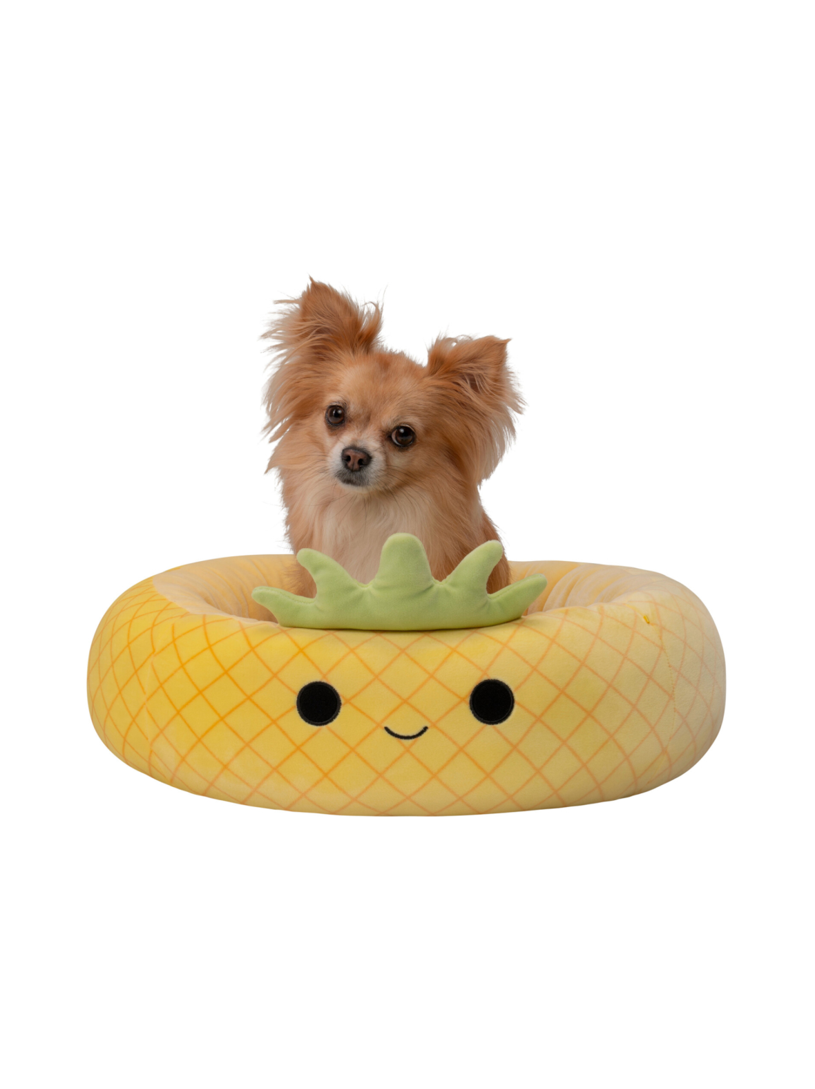 SQUISHMALLOWS Lemmikin peti Maui-ananas, 50 cm