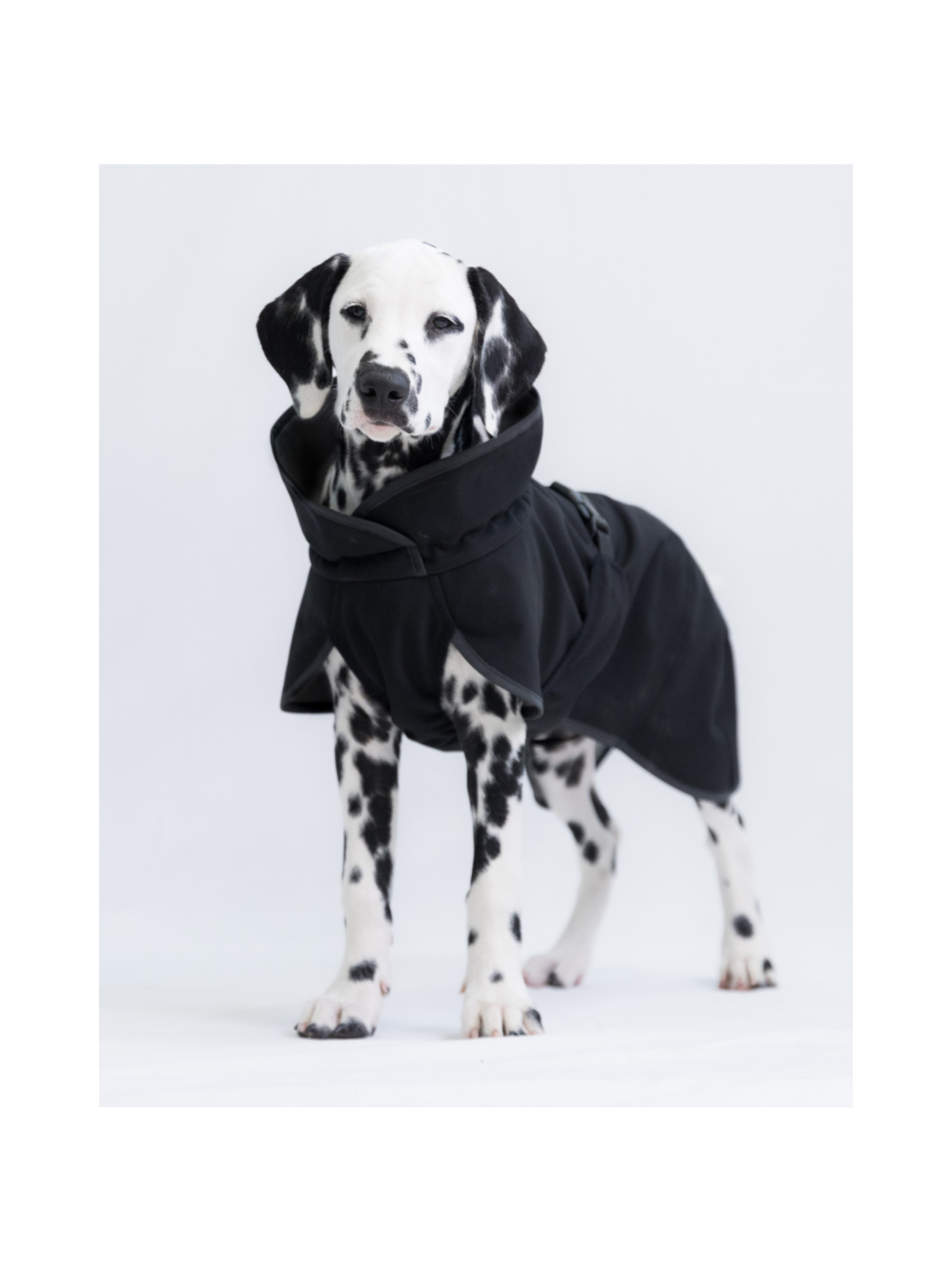 PAIKKA Recovery Softshell Jacket Black