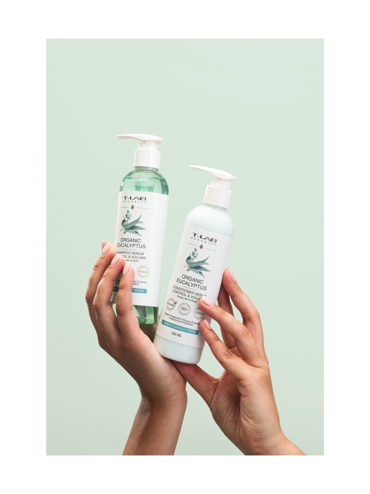 Organic Eucalyptus Duo Set -hiustenhoitopakkaus, 2 tuotetta