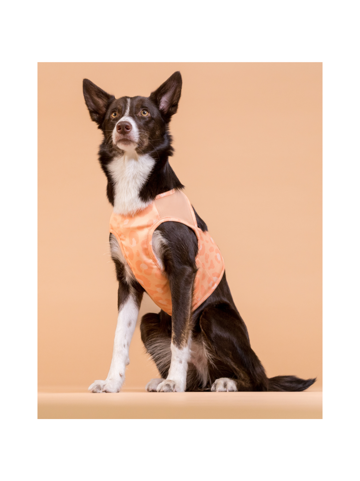 PAIKKA Cool Vest Peach