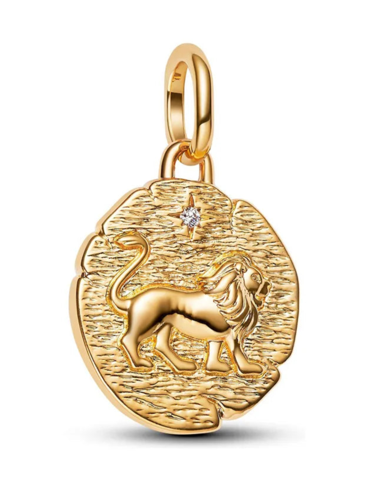 Lion Medallion Charm - 763974C01
