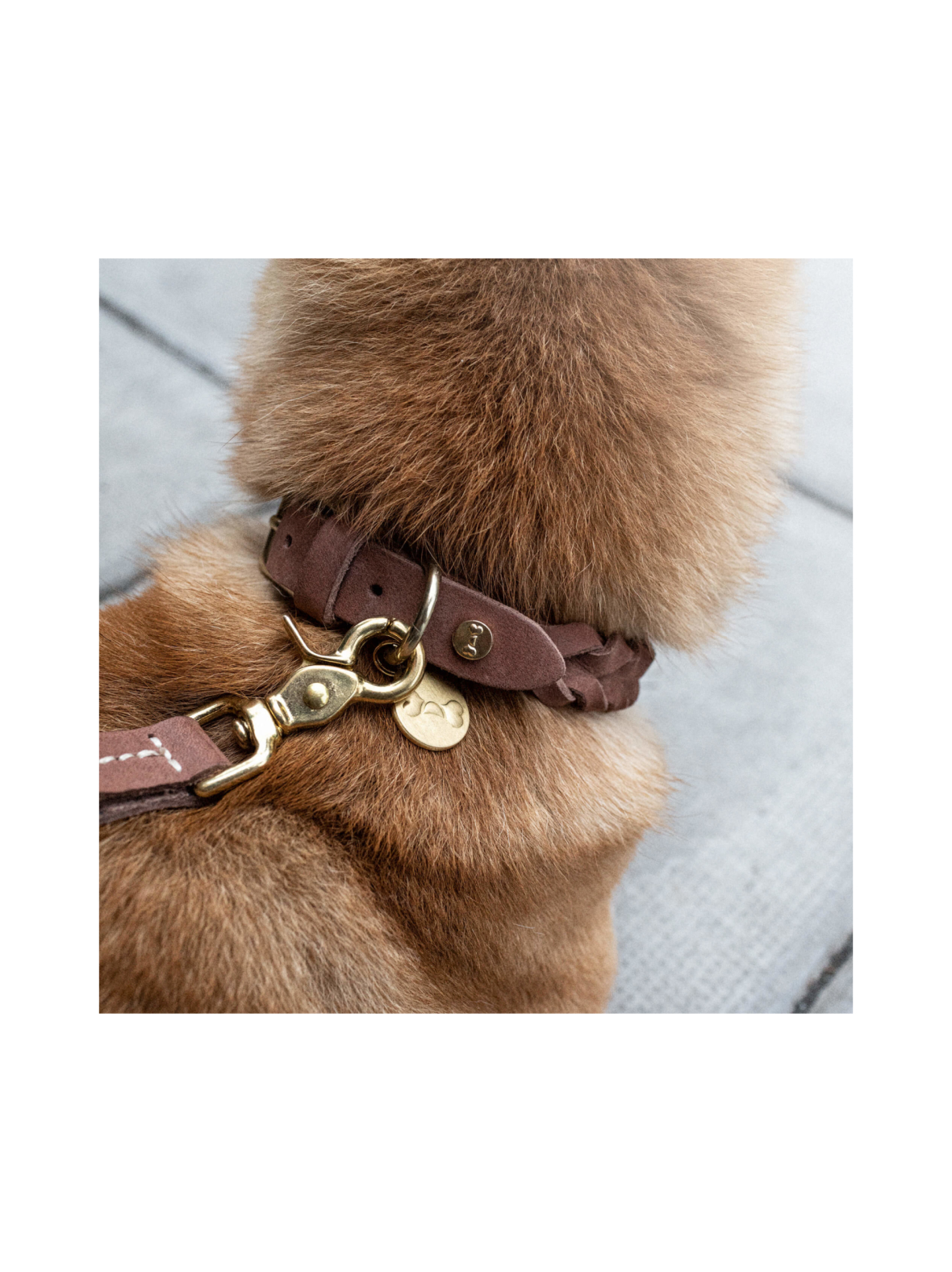 Koiran kaulapanta Stockholm Hazel Brown
