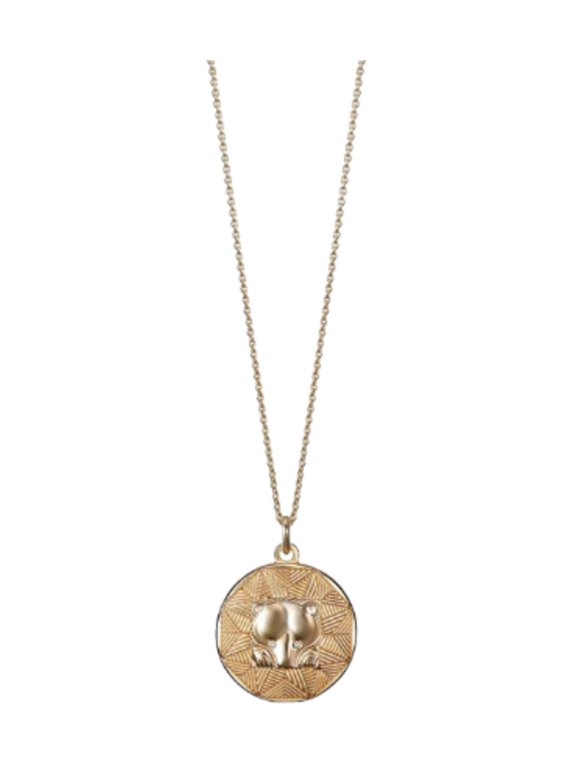 Amuletti riipus Pohjankarhu pronssi 327031460