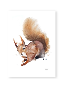 ESTER VISUAL - Juliste Orava 50x70 cm ESTER VISUAL - Juliste Orava 50x70 cm | Stockmann