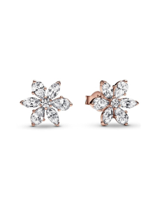 Pandora - Säihkyvä herbaario -nappikorvakorut Herbarium cluster 14k rose-gold plated unique metal blend stud earrings with clear cubic zirconia Sparkling Herbarium Cluster Stud Earrings 282407C01 Pandora - Säihkyvä herbaario -nappikorvakorut Herbarium cluster 14k rose-gold plated unique metal blend stud earrings with clear cubic zirconia Sparkling Herbarium Cluster Stud Earrings 282407C01 | Stockmann