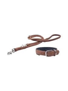 Laboni - Amici kaulapanta + hihna setti - Konjakki - KONJAKKI | Stockmann