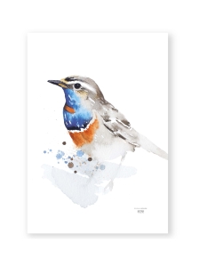 ESTER VISUAL - Juliste Sinirinta 50x70 cm | Stockmann