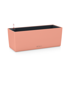 Lechuza - Trend Balconera Color Koralli 2xParvekeruukku 50x19cm, korkeus 19cm - KORALLI MATTAPINTA | Stockmann