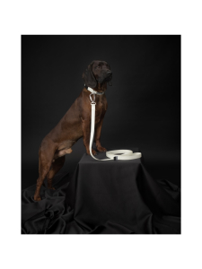 PAIKKA - PAIKKA Glow Leash | Stockmann