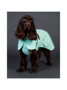 PAIKKA - PAIKKA Visibility Raincoat Lite Cabbage - GREEN | Stockmann