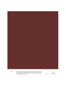 Cover Story - Sävymalli 025 OSCAR - deep burgundy | Stockmann