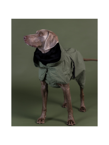 PAIKKA - PAIKKA Reflective Shell Jacket Green - VIHREÄ | Stockmann