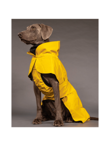 PAIKKA - Visibility Raincoat Lite Yellow for Dogs - KELTAINEN | Stockmann
