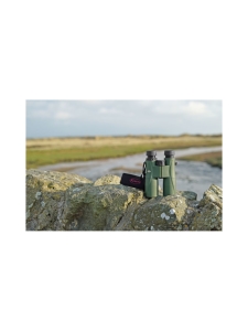 Kowa - Kowa 10x50 SV II kiikarit Kowa - Kowa 10x50 SV II kiikarit | Stockmann