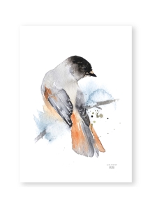 ESTER VISUAL - Juliste Kuukkeli 50x70 cm ESTER VISUAL - Juliste Kuukkeli 50x70 cm | Stockmann