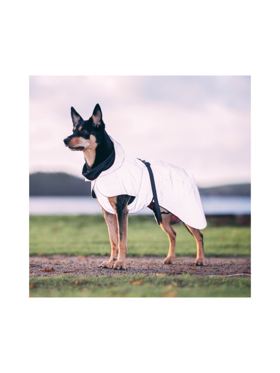 PAIKKA - Visibility Raincoat Lite Pink for Dogs - 4 - photo 7 PAIKKA - Visibility Raincoat Lite Pink for Dogs - 4 | Stockmann - photo 7
