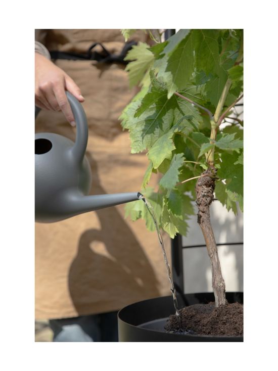 Eva Solo Outdoor - Simply Grow tuki ulkoruukkuun Ø37cm - MUSTA - photo 5 Eva Solo Outdoor - Simply Grow tuki ulkoruukkuun Ø37cm - MUSTA | Stockmann - photo 5