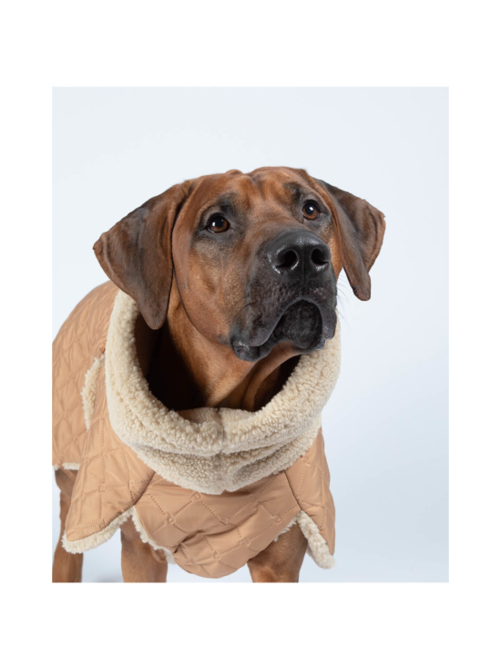 PAIKKA - PAIKKA Quilted Sherpa Jacket Camel - TAUPE - photo 9 PAIKKA - PAIKKA Quilted Sherpa Jacket Camel - TAUPE | Stockmann - photo 9