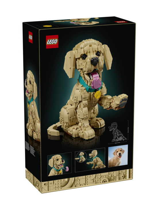 LEGO ICONS - LEGO Icons Kultaisen noutajan pentu 11384 | Stockmann - photo 2