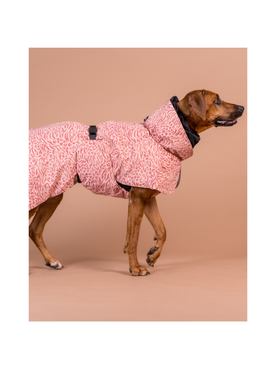 PAIKKA - PAIKKA Visibility Winter Jacket for Dogs Red Mix - 4 - photo 4 PAIKKA - PAIKKA Visibility Winter Jacket for Dogs Red Mix - 4 | Stockmann - photo 4
